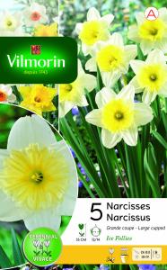 Narcisse Ice Follies (x5)